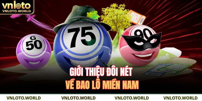 Giới thiệu đôi nét về bao lô miền Nam 